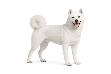 Hokkaido