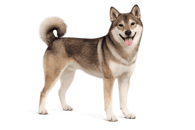 Shikoku