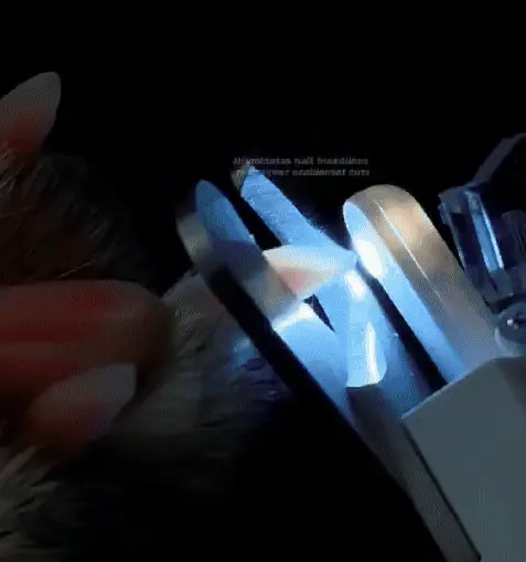 Animated demonstration of the LED Dog Nail Trimmer being used for clipping and grinding
