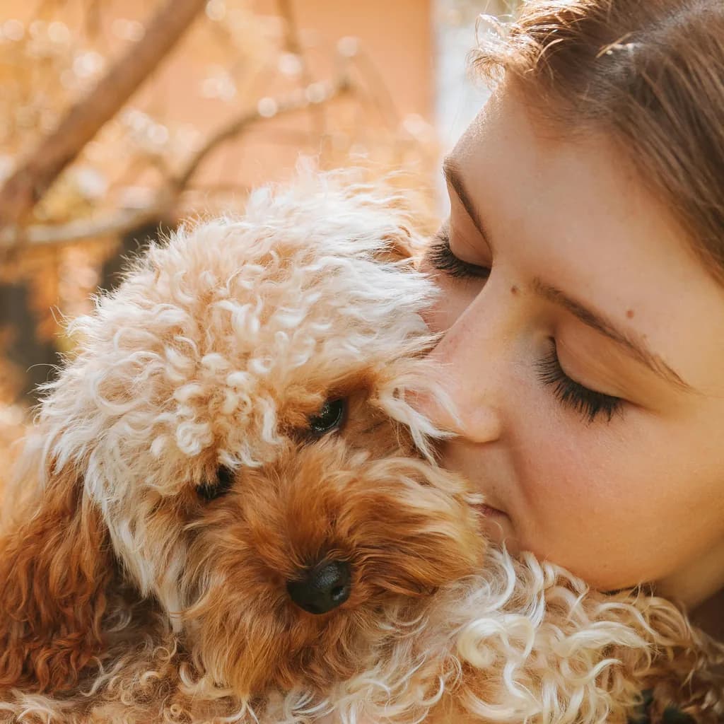 Dog owner hugging a fluffy poodle in a warm testimonial-style portrait