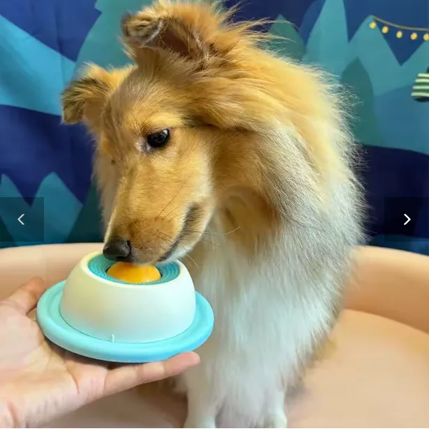 Dog licking the Treat Dispensing Ball