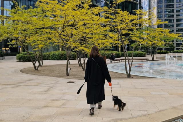 How to Walk a Reactive Dog in an Apartment Complex Without Making It Worse