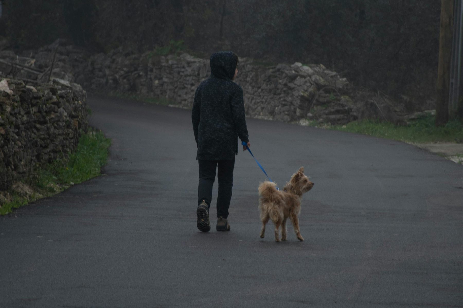 Emergency U-Turn for Reactive Dogs: How to Teach a Calm Exit