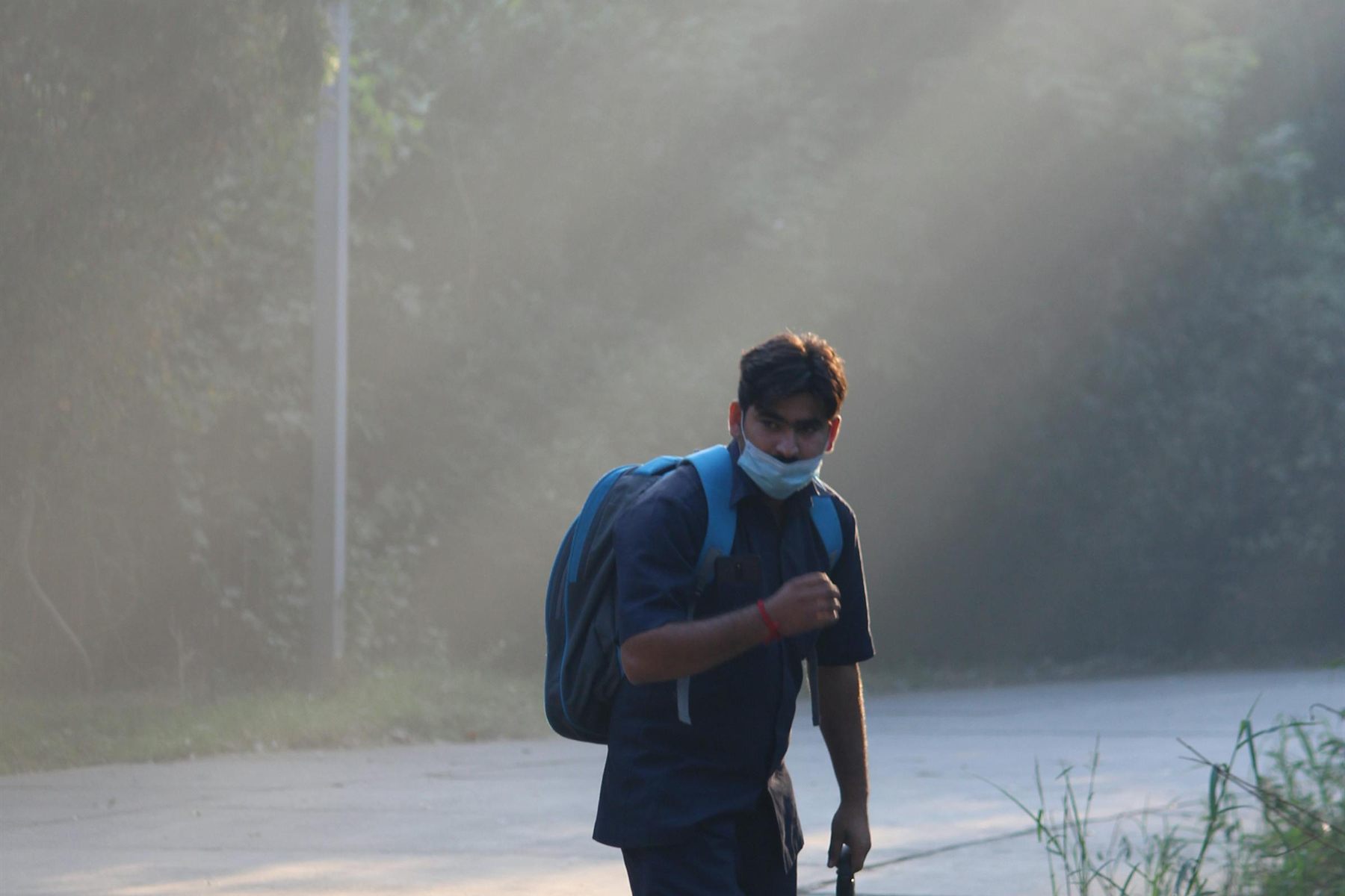 Person walking a black dog on leash along a sunlit path