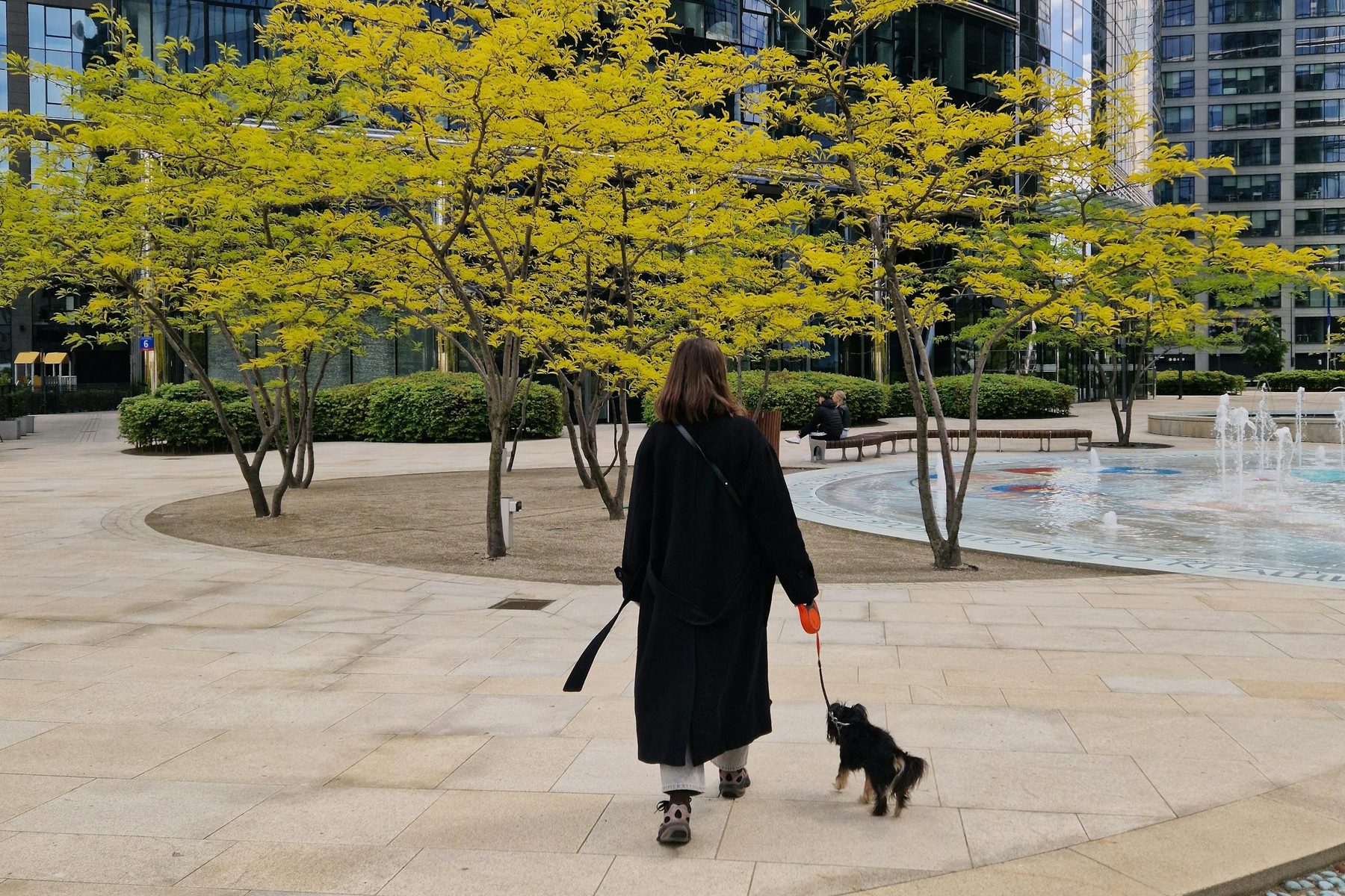 How to Walk a Reactive Dog in an Apartment Complex Without Making It Worse