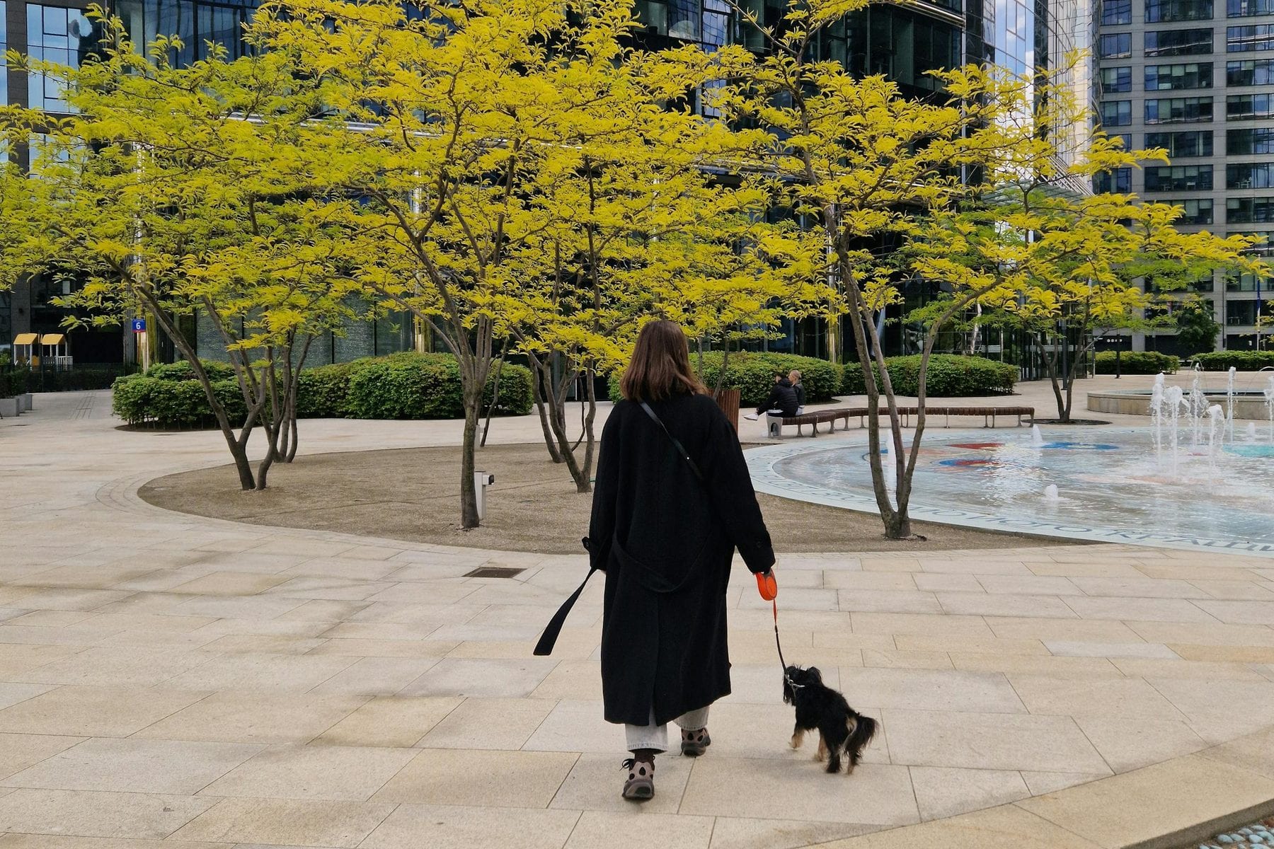 How to Walk a Reactive Dog in an Apartment Complex Without Making It Worse