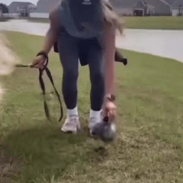 Animated demonstration of loading a waste bag roll into the Dog Pooper Picker