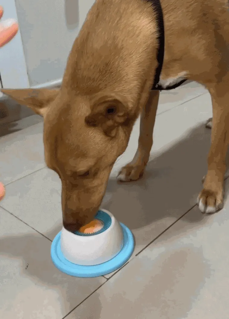 Dog calmly licking the Treat Dispensing Ball on a tile floor