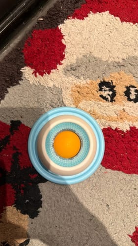 Customer photo of the Treat Dispensing Ball on a rug